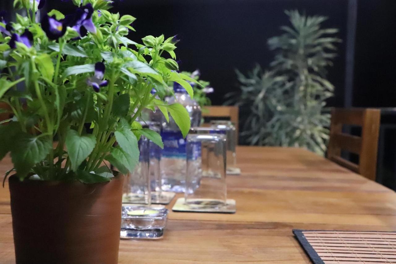 Ryan Residence & Restaurant ネゴンボ エクステリア 写真
